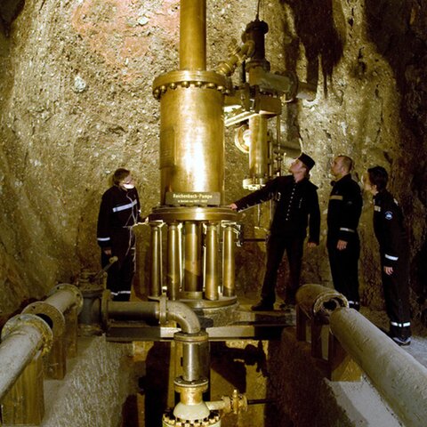 Golden Reichenbach pump below ground
