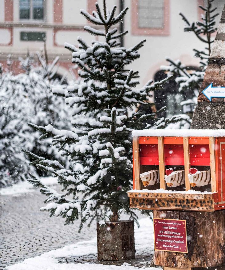Schnee auf den Tannenbäumen beim Berchtesgadener Advent | © Berchtesgadener Advent GmbH